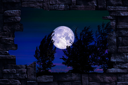 田地上满满的虫子月月和圆周树 洞石墙上夜空图片