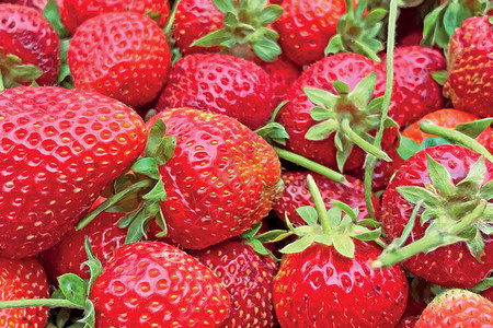 在市场摊位上特写草莓果汁水果叶子浆果宏观食物养分团体甜点树叶图片