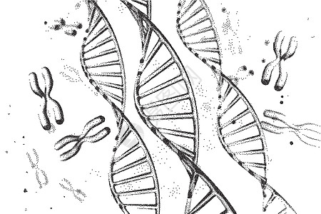 基因组 dna 矢量图  DNA 结构 EPS 10 转基因和基因组编辑的基因组测序概念 药物化学和 DNA 研究 分子连接生物图片