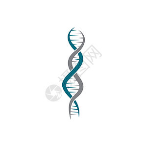 Gen 符号矢量图标它制作图案科学生物螺旋身份生物学药品医疗染色体遗传化学图片