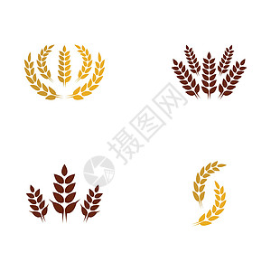 小麦符号矢量图标它制作图案标签农场面粉麸质面包市场饮食生长谷物质量图片