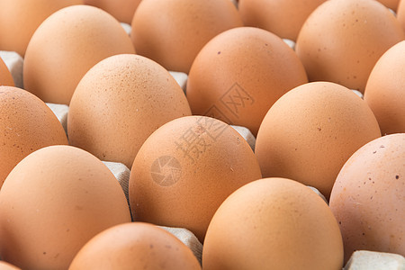 鸡蛋营养早餐烹饪黄色母鸡农业食物农场棕色家禽图片