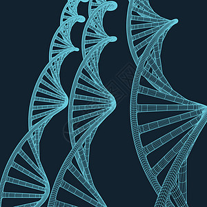 蓝色背景上带有多边形线的灰色 DNA 具有连接点和线的多边形空间低多边形 连接结构 矢量科学背景技术生物学网络螺旋金属生活生物细图片