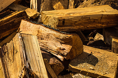 剪断和堆叠干燥的树林 锯木丛途径阳光柴堆材料树叶小路樵夫季节同心日志图片