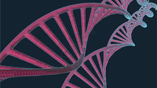 蓝色背景上带有多边形线的灰色 DNA 具有连接点和线的多边形空间低多边形 连接结构 矢量科学背景基因螺旋化学技术药品生物学网络生图片