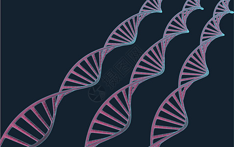蓝色背景上带有多边形线的灰色 DNA 具有连接点和线的多边形空间低多边形 连接结构 矢量科学背景基因生物金属生活插图技术螺旋药品图片