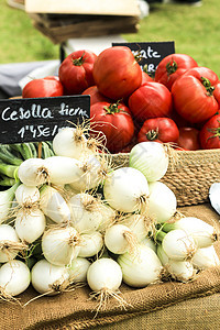 在Elche当地生态市场出售的蔬菜 地方生态市场农民食物萝卜正方形价格收成摊位叶子纸板收藏图片