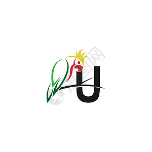 字母 U 与鹦鹉鸟图标标志设计 vecto图片