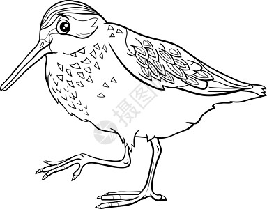 卡通西部鹬鸟字符着色书 pag图片