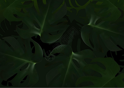 深色背景与热带叶问候植被名片植物学旅行异国插图海报区系雨林图片