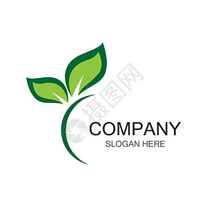 叶符号矢量 ico热带公司生物收藏装饰品植物环境商业生活力量图片