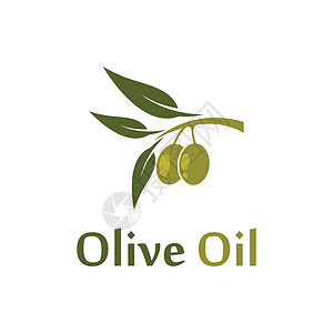 橄榄油矢量 ico农业植物食物叶子标签生态饮食处女季节插图背景图片