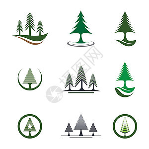 松树矢量 ico木头植物绿色叶子树木针叶白色生态标识针叶树图片