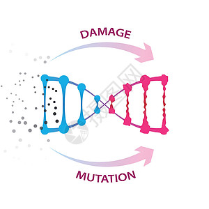 导致DNA损伤和突变的外部因素化学免疫氧化压力教育科学处方细胞细菌功能图片