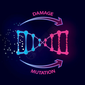 导致DNA损伤和突变的外部因素制药细胞肠子处方胆量压力癌症治疗科学功能图片