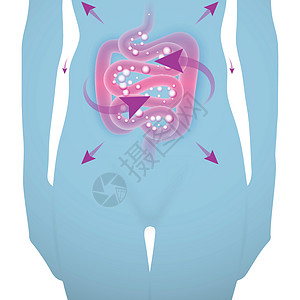 肠病的女人剪影气泡解剖学营养素养分疾病蓝色器官腹部消化通货膨胀图片