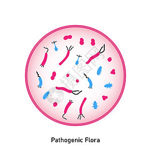 皮肤和粘膜的致病菌群大肠杆菌微生物群链球菌病菌细胞感染植物群危险微生物学插图图片