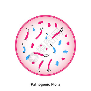 皮肤和粘膜的致病菌群植物群药品危险微生物群病原科学链球菌动物感染漏洞图片
