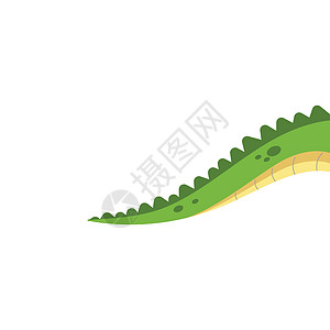 鳄鱼尾巴矢量图解设计模板爬虫野生动物生物绿色危险眼睛热带食肉卡通片捕食者图片