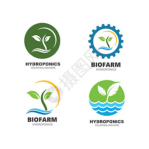 水培图标矢量插图设计叶子园艺养殖绿色植物水产玻璃植物农业水培法塑料图片