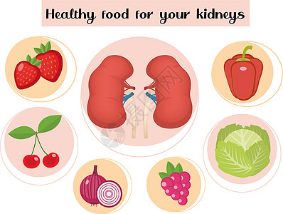 用于肾脏健康食品 包括食物和维生素 药物 肾病预防等概念 矢量插图图片