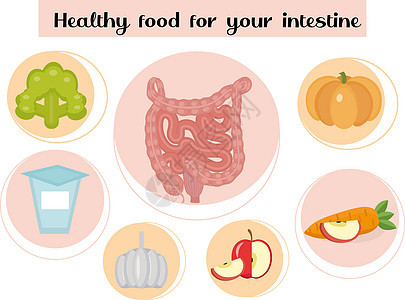有益于肠道的健康食品 食物和维生素 药物 消化系统疾病预防的概念 矢量图图片