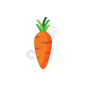 它制作图案的胡萝卜符号矢量植物饮食叶子蔬菜营养花园排毒收成艺术食品背景图片