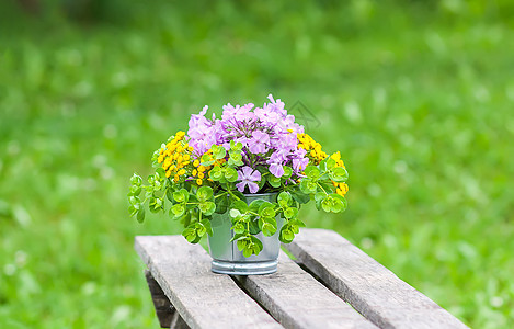 乡村夏季自然背景的木制长椅上美丽的野花花花束花丛植物叶子野花荒野花园植物群文化脆弱性季节蓝色图片