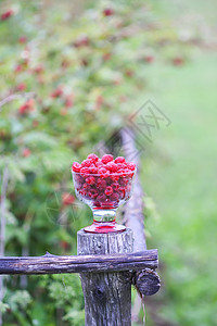 香甜的夏天浆果 草莓用透明花瓶装在旧的粗木栅栏上 树枝上有新鲜的草莓叶子衬套植物村庄果味营养宏观花园水果树叶图片