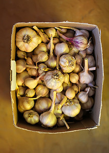 新鲜大蒜丁香背景水果味道植物美食木头调味品收成灯泡市场洋葱图片
