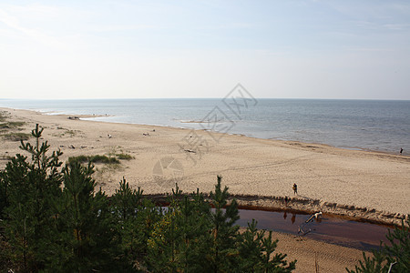 拉脱维亚的海景蓝色沿海支撑沙丘材料天空松树液体森林溪流图片