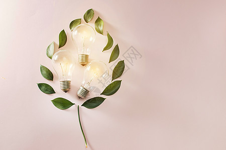 绿色生态能源概念灯泡 粉红背景的灯泡叶插图活力白色植物力量环境背景图片