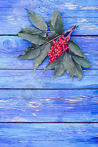 普通的红色大莓 红纤维老浆果 在花园的树枝上枝条蓝色橙子水果床单荒野衬套植物季节植物学图片