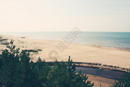 拉脱维亚的海景溪流地平线天空松树森林海岸线日落沙丘芦苇液体图片