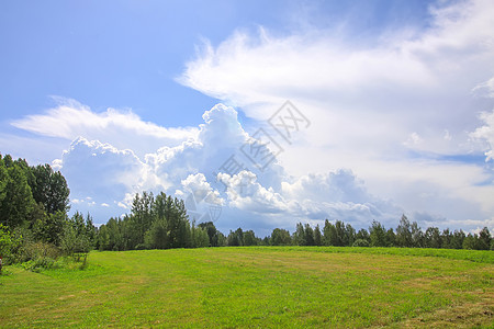 拉脱维亚 东欧的夏季风景天空麦田树木农场粮食季节假期旅游农村土地图片