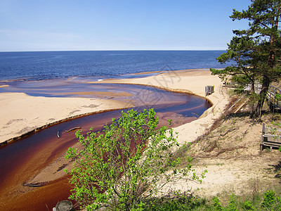 拉脱维亚的海景 白沙丘树木支撑日落芦苇海湾沿海材料地平线溪流海岸线图片