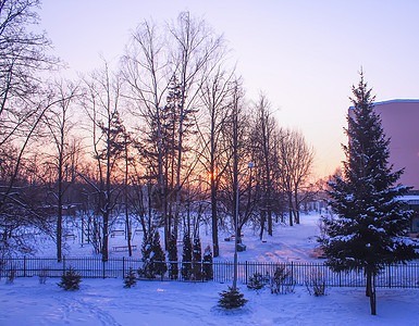 寒冷的冬天日出 城市风景图片