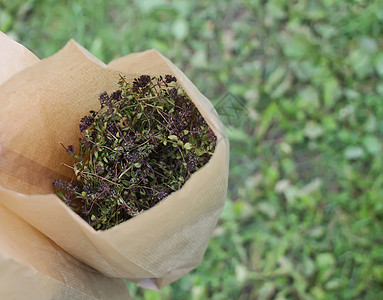 带干草药的纸袋食物勺子治疗产品植物叶子香料草本植物薄荷药品图片