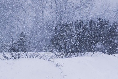 冬季农村的暴风雪图片