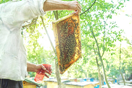 养蜂人在他的手持蜂窝皮架上工作昆虫花蜜野生动物工人蜂蜜蜂房蜂蜡农民农业框架图片