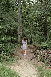 一个女人的后视线 在清晨迷雾中沿着森林行走图片