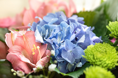 各种花朵的节日花束花园蓝色叶子季节植物群植物绣球花花瓣紫色花卉图片