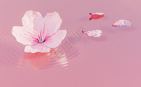 粉色液体上的樱花图片