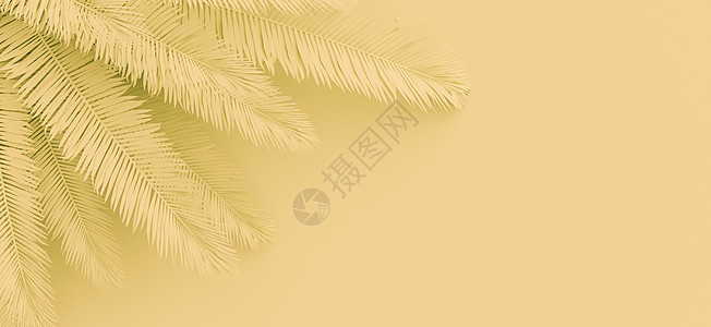 棕榈叶背景渲染热带3d艺术棕榈叶子植物黄色图片