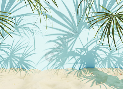 沃尔玛上的棕榈树阴影图片