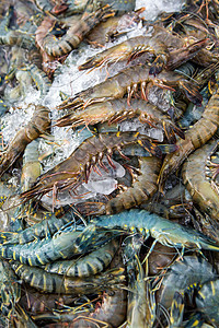 螃蟹在泰国海产食品市场上出售甲壳蓝色盐水海鲜店铺烹饪健康动物红色海洋图片