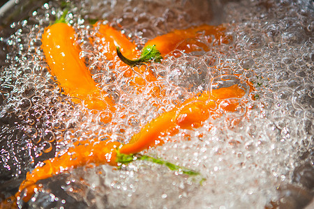 白色背景的黄辣椒食物寒冷饮食胡椒橙子红色作品香料植物蔬菜背景图片