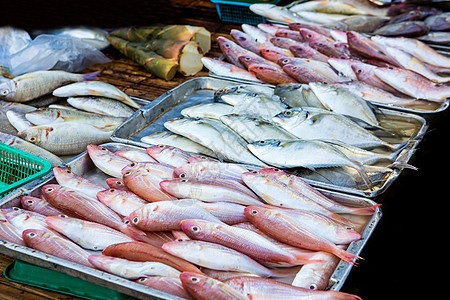 向市场出售海洋鱼类盐水产品海鲜来源钓鱼销售烹饪店铺动物蓝色背景图片