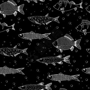 海洋和河流鱼类动物的无缝矢量草图 孤立的鱼或鱼市主题 服装 纺织 纸张和网页印刷图片
