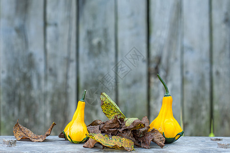 两只黄绿色的胡椒和叶子植物美食葫芦蔬菜午餐烹饪宏观盘子壁球食物图片